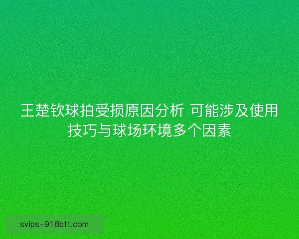 王楚钦球拍受损原因分析 可能涉及使用技巧与球场环境多个因素 王楚钦球拍受损原因分析 可能涉及使用技巧与球场环境多个因素